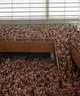 spencer tunick 2006 san sebastian 37