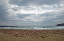 spencer tunick 2006 san sebastian 7
