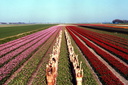 spencer tunick 2007 Schermerhorn 11