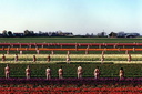 spencer tunick 2007 Schermerhorn 9