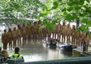 spencer tunick amsterrdam 18.jpg