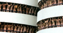 spencer tunick amsterrdam 24.jpg