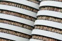 spencer tunick amsterrdam 34.jpg