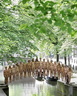 spencer tunick amsterrdam 5.jpg