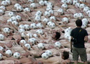 Spencer tunick vienna 2008 13