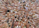 Spencer tunick vienna 2008 5