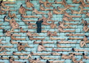 Spencer tunick vienna 2008 9