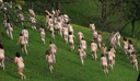 spencer tunick manchester 20100503 12