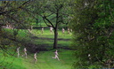 spencer tunick manchester 20100503 24