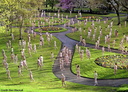 spencer tunick manchester 20100503 29