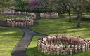 spencer tunick manchester 20100503 3