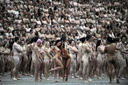 Spencer tunick Sydney Opera House 001