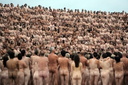 Spencer tunick Sydney Opera House 003