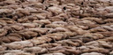 Spencer tunick Sydney Opera House 030
