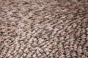 Spencer tunick Sydney Opera House 037