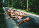 tunick bb 1