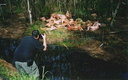 tunick bb 2