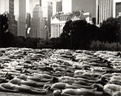 Central park NYC 1996