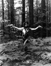 kristinPine96