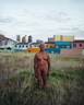 capetown2big