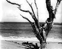 spencer tunick Hawaii  photo 4 21