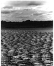 spencer tunick Maine1 1997 4