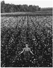 spencer tunick Minnesota 1997 3