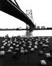 spencer tunick Pennsylvania 1998 6