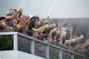 tunick sagammore hotel miami 2