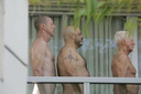 tunick sagammore hotel miami 5