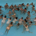 the_bottom_line_2004_synchronized_drowning.jpg