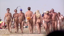 21910338412 naktivated a nude beach traffic jam