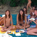 29475941076 pdn nudism nude picnic naturally