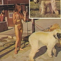 Nude Nudism women 1796