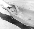 Diane Webber 148