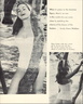 Diane Webber 160