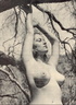 Diane Webber 187