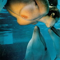 105625436044_anudistlifestyle_swimming_with_the_dolphins.jpg