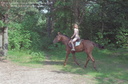 Horse riding gototheshow 1