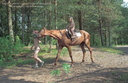 Horse riding gototheshow 12