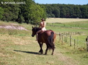 nude with horse 67