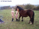 nude with horse 93