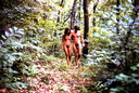 nudist adventures 66462406913