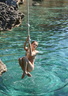 nudist adventures 81195487016