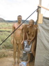nudists nude naturists couple 2034