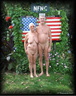 nudists nude naturists couple 2403