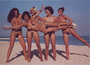 nudists beach groups 14