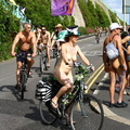 wnbr brighton 2014 funkdooby Wearing the suffragette colours